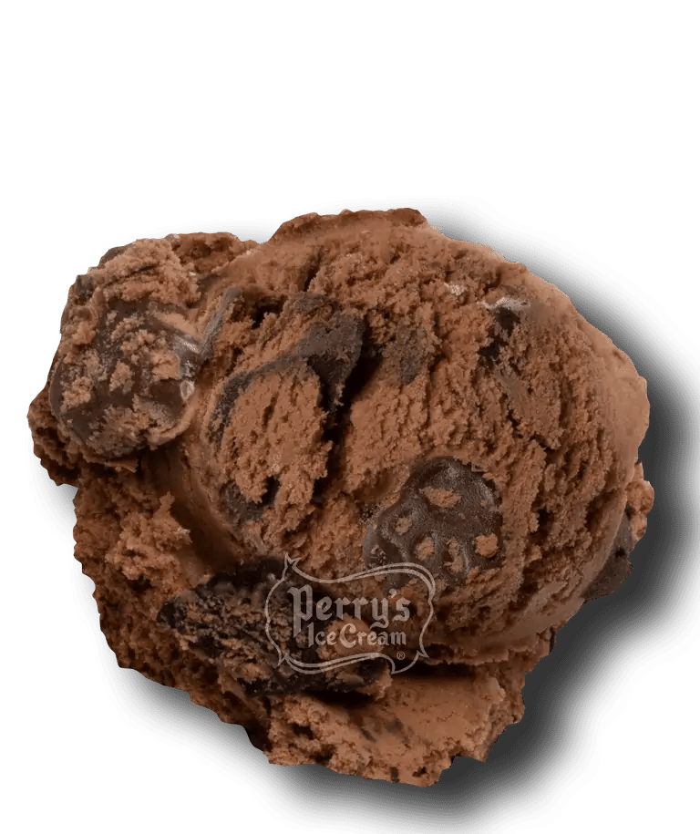 Chocolate Panda Paws® scoop of Perry's ice cream