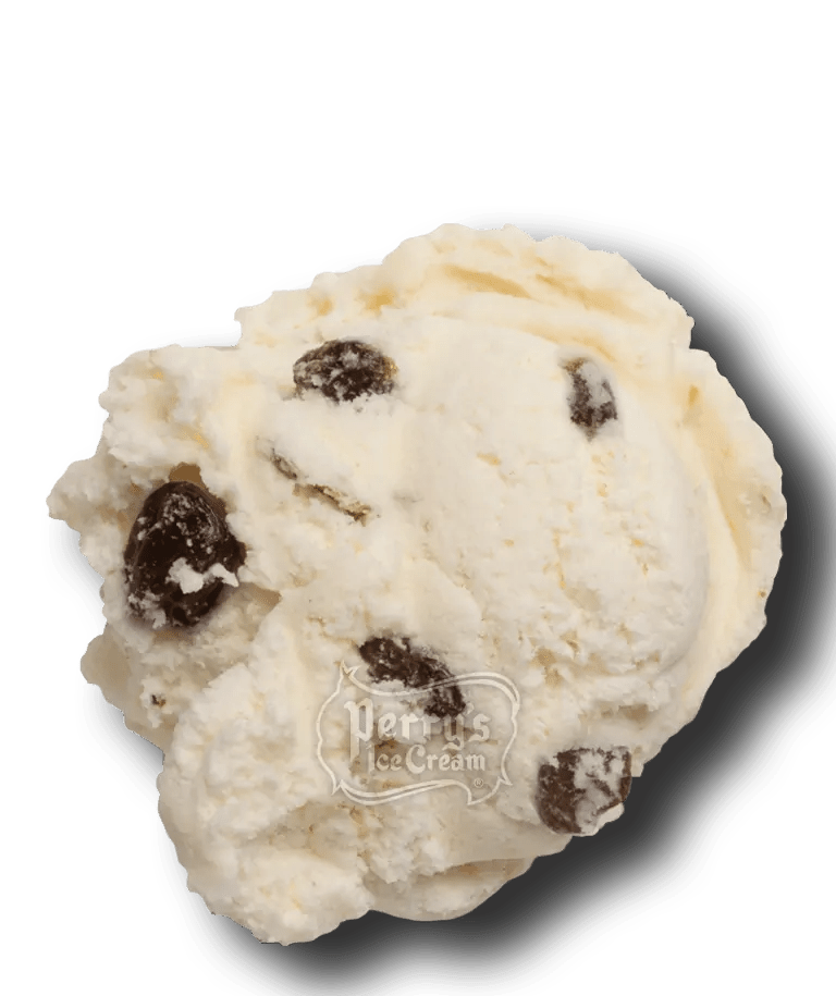 Rum Raisin scoop of Perry's ice cream